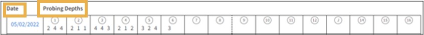 Facial/Lingual table section with yellow highlight boxes around Date and Probing Depths.